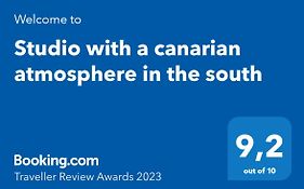 Studio With A Canarian Atmosphere In The South